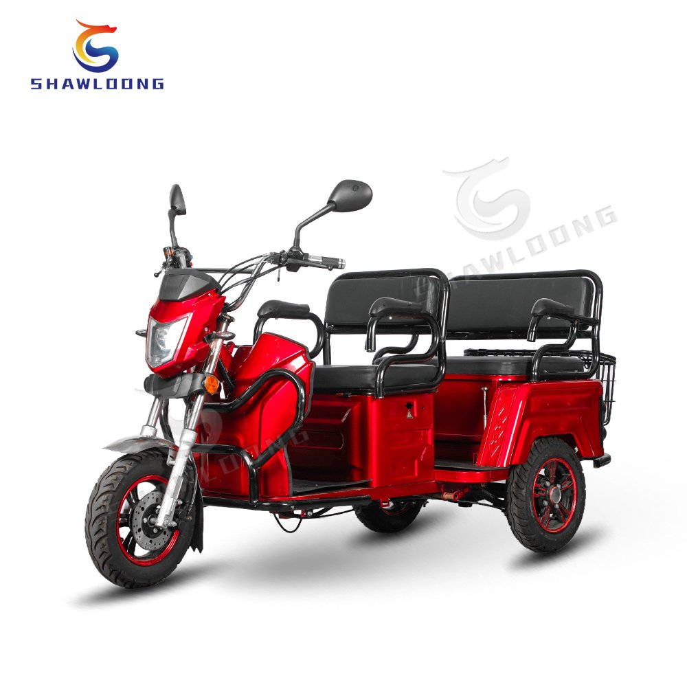 DOT Approved Electric Passenger Tricycle Hot 500w Differential Motor Open Body Type