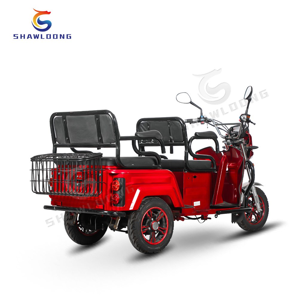 DOT Approved Electric Passenger Tricycle Hot 500w Differential Motor Open Body Type