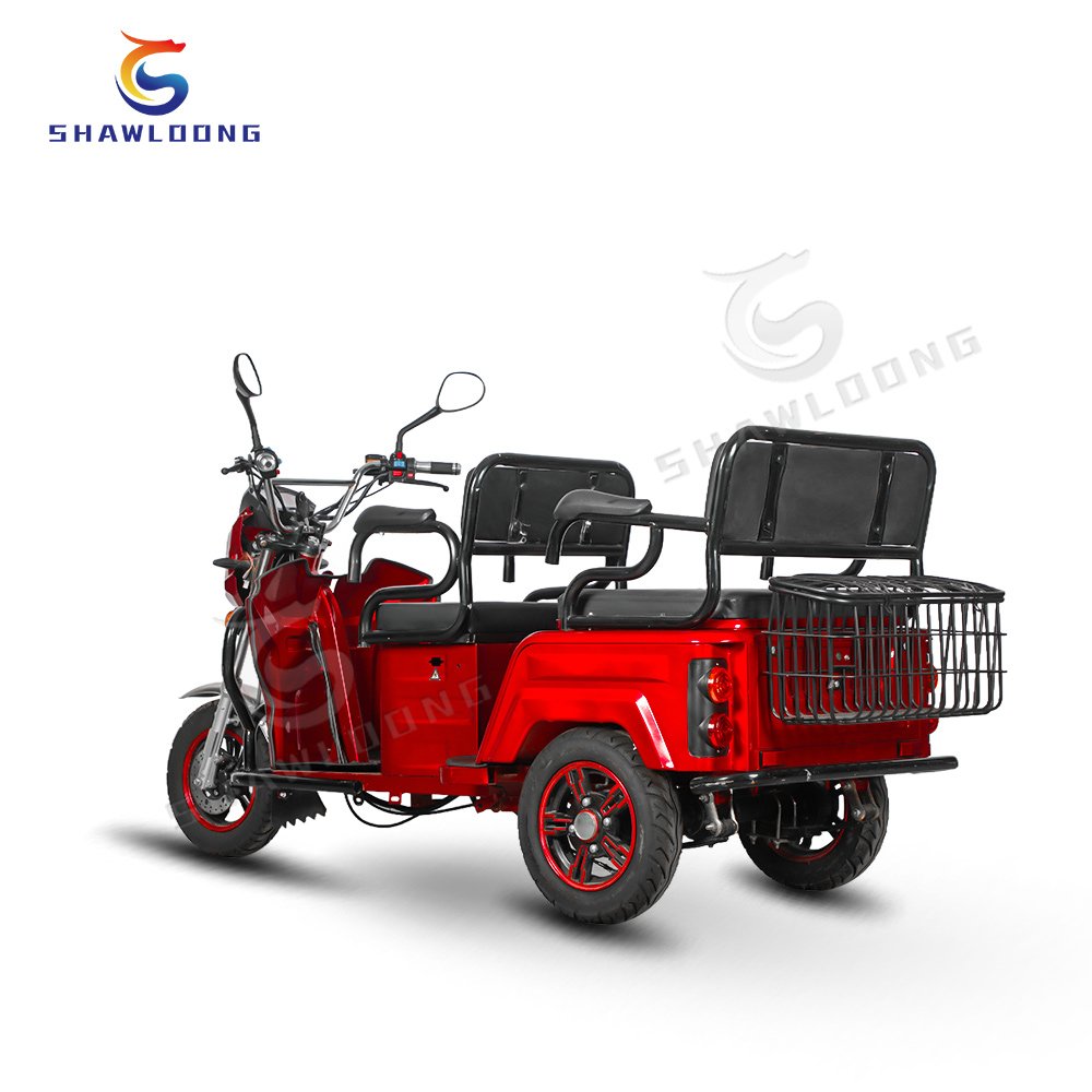 DOT Approved Electric Passenger Tricycle Hot 500w Differential Motor Open Body Type