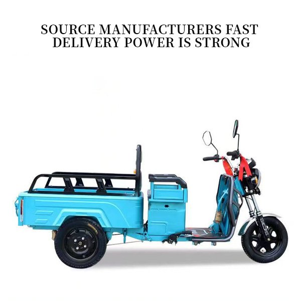 Electric Tricycle for Adults 800W Pull Goods and Carry People Ebike 60V 32Ah Removable Battery Electro-tricycle