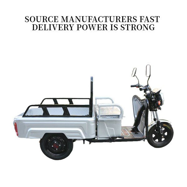 Electric Tricycle for Adults 800W Pull Goods and Carry People Ebike 60V 32Ah Removable Battery Electro-tricycle