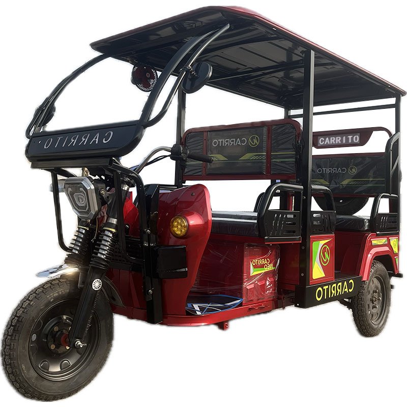 2024 Custom High Quality Electric Bike 3 Wheels for Adults Electric Tricycle Passenger