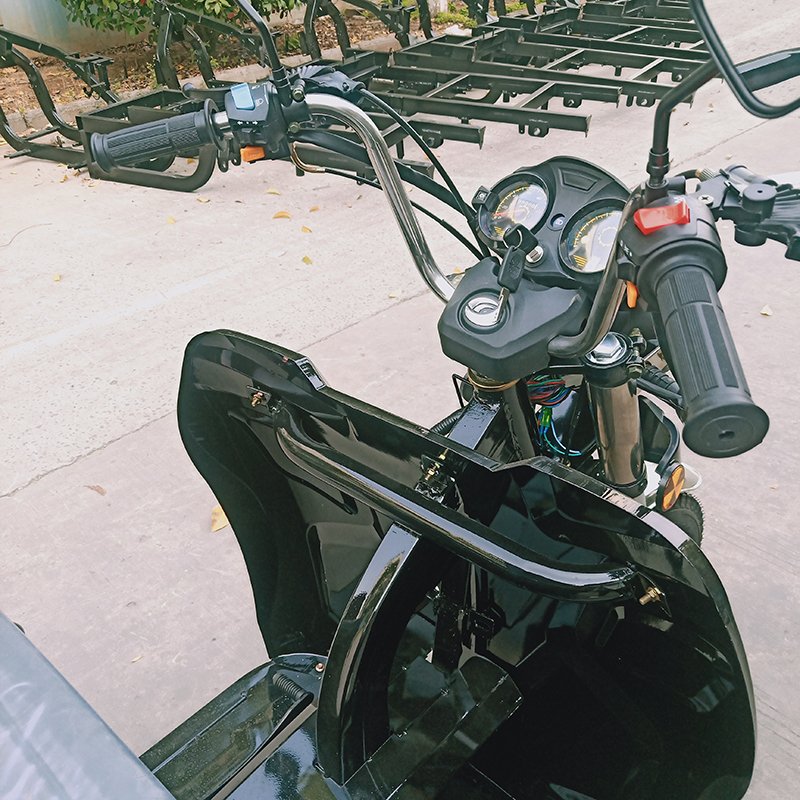 China Hot Sale 150/175/200CC Wind Cooled Gasoline Motor Tricycle Adult Tuktuk Motorized Motorcycle Tricycle Petrol Cargo