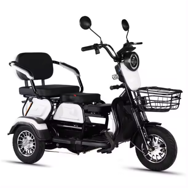 2024 Newest 800W Power Mobility Scooter with 3 Wheels Electric Tricycle for Adults and Elderly