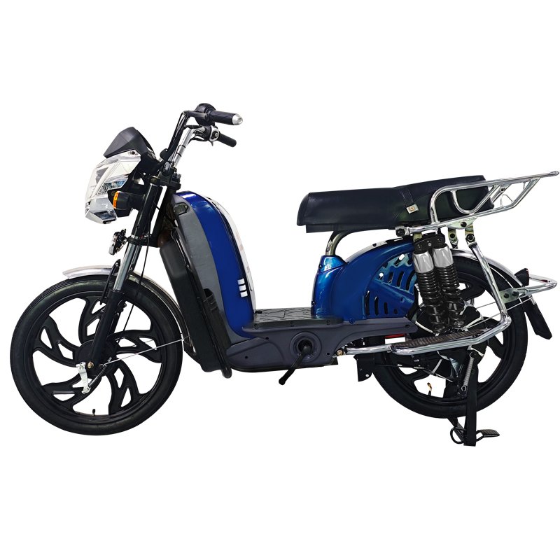 Manufacture,22 Inch Household Front Panel Electric Bike,Excursion Electric Motorcycle,800W 60V Lithium Battery Electric Bicycle