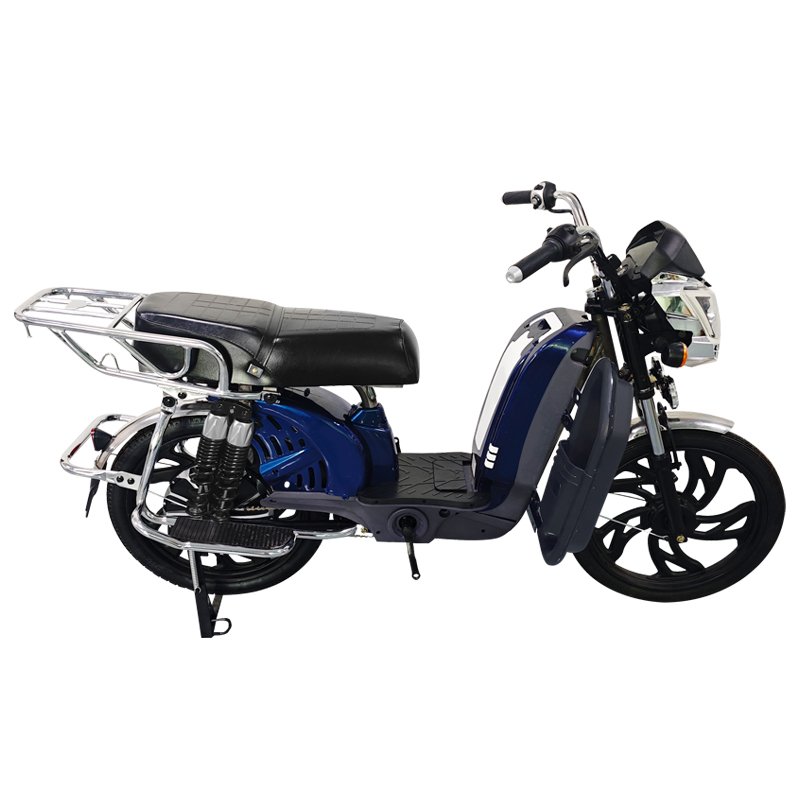 Manufacture,22 Inch Household Front Panel Electric Bike,Excursion Electric Motorcycle,800W 60V Lithium Battery Electric Bicycle