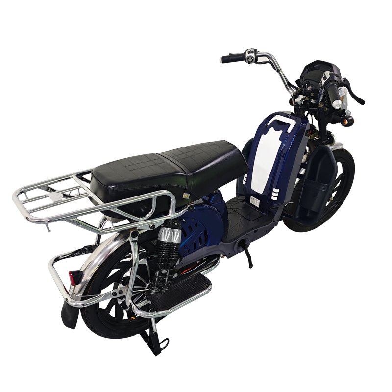 Manufacture,22 Inch Household Front Panel Electric Bike,Excursion Electric Motorcycle,800W 60V Lithium Battery Electric Bicycle