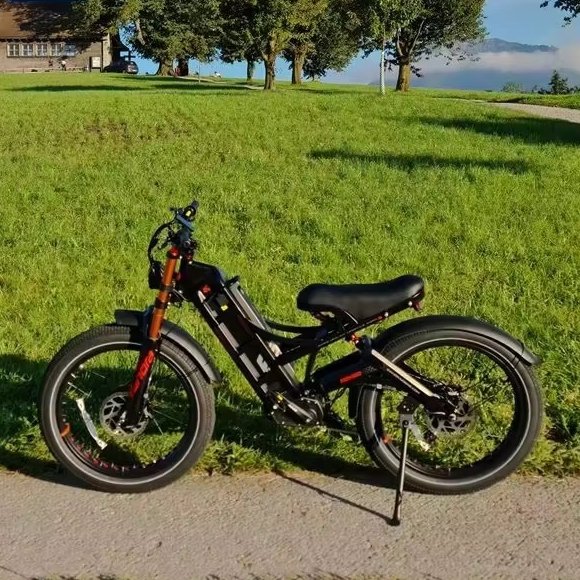 Romeo Pro II Eahora Eu Warehouse Custom Power Electric Bicycle Adults Mountain 2*120N-M E Bike Electric Bike