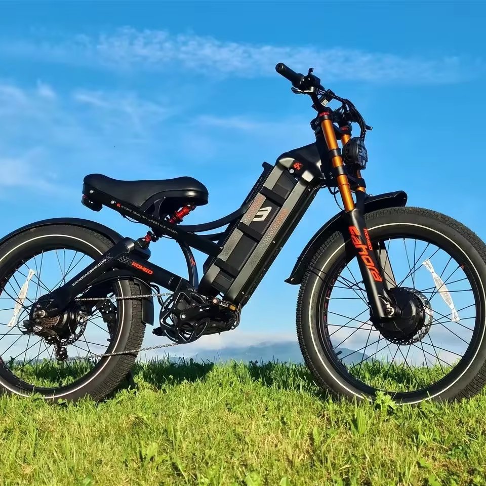 Romeo Pro II Eahora Eu Warehouse Custom Power Electric Bicycle Adults Mountain 2*120N-M E Bike Electric Bike