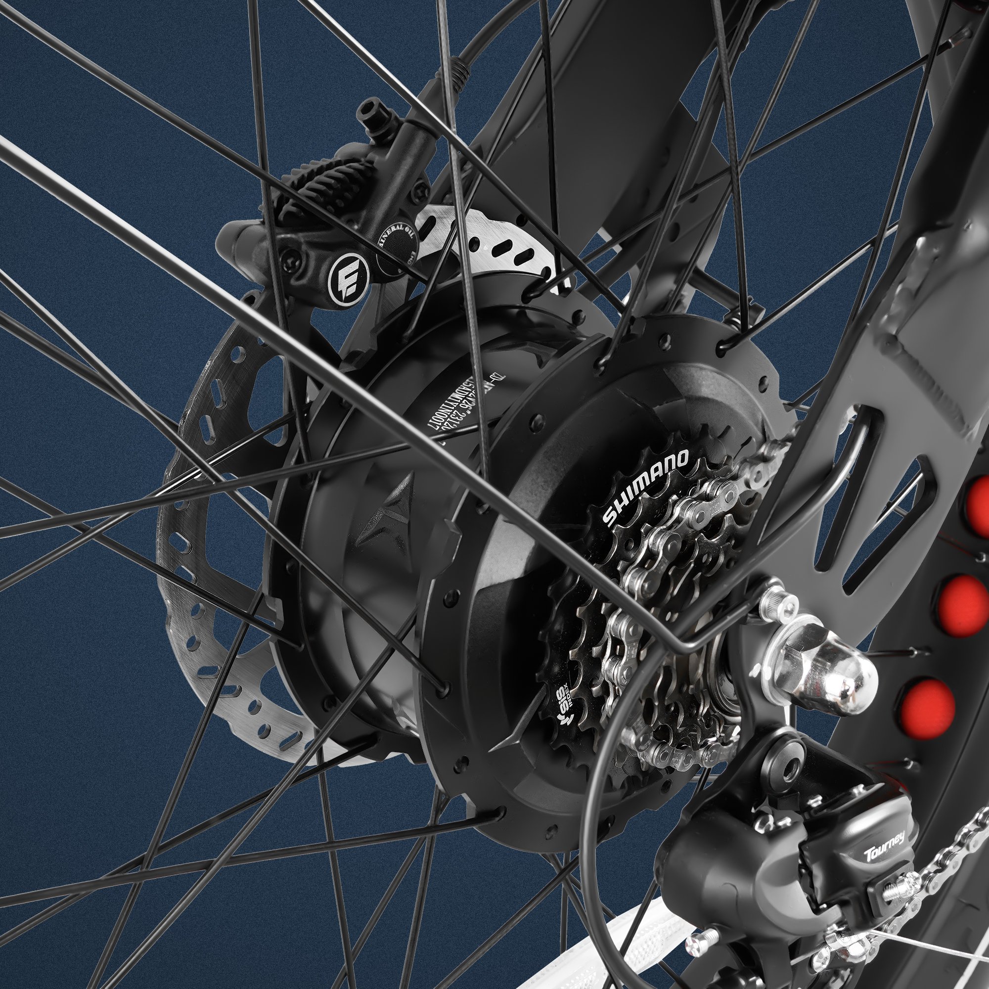 Romeo Pro II Eahora Eu Warehouse Custom Power Electric Bicycle Adults Mountain 2*120N-M E Bike Electric Bike