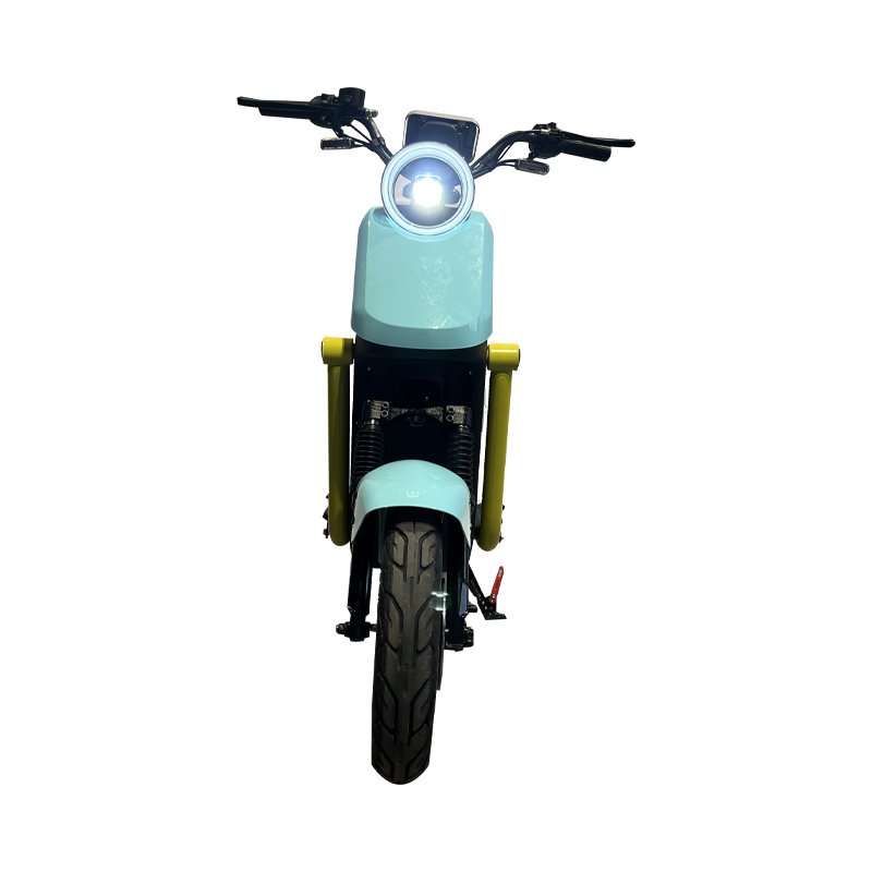 Small Electric Motorcycle Electric Bike Lady Fashion Motor Power 1200W 50km h