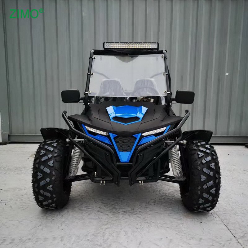 New 300cc High Quality Double Seats Go Kart Dune Buggy for Sale