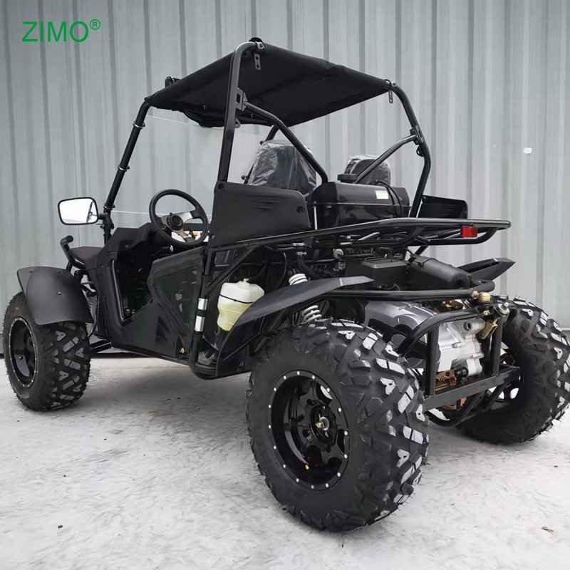 New 300cc High Quality Double Seats Go Kart Dune Buggy for Sale