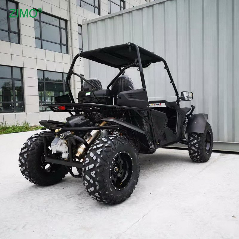 New 300cc High Quality Double Seats Go Kart Dune Buggy for Sale