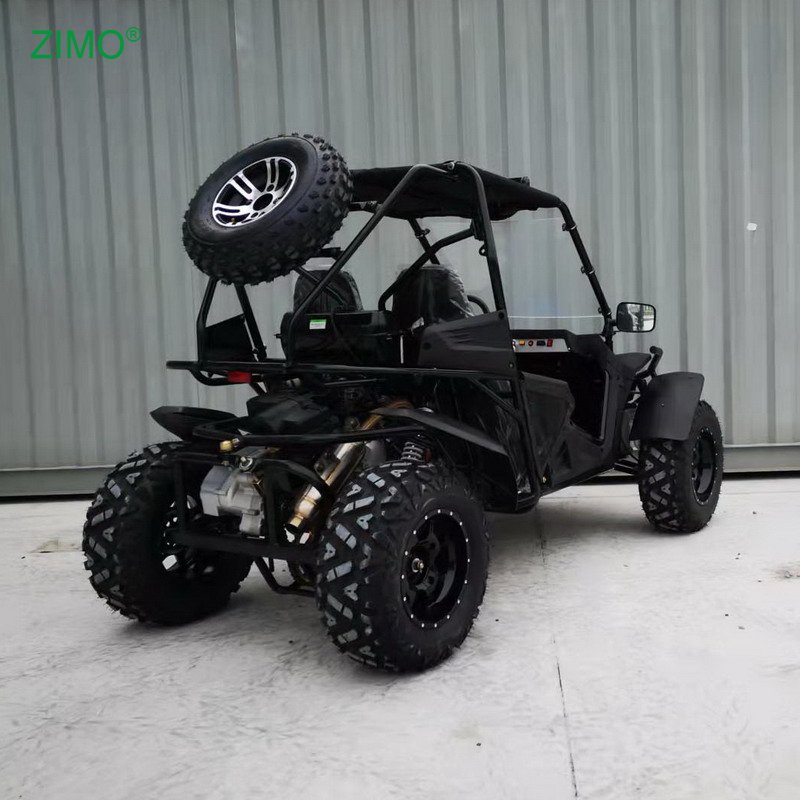 New 300cc High Quality Double Seats Go Kart Dune Buggy for Sale