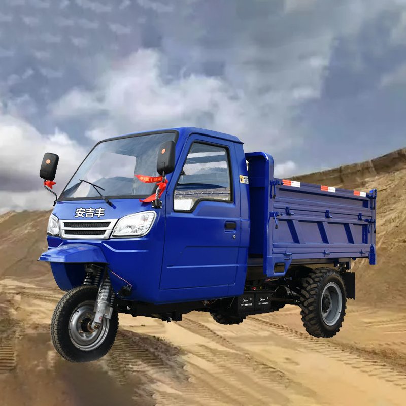 Hot Selling New Design Gasoline Tricycle Other Tricycles Motorized Tricycles