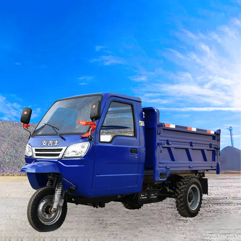 Hot Selling New Design Gasoline Tricycle Other Tricycles Motorized Tricycles
