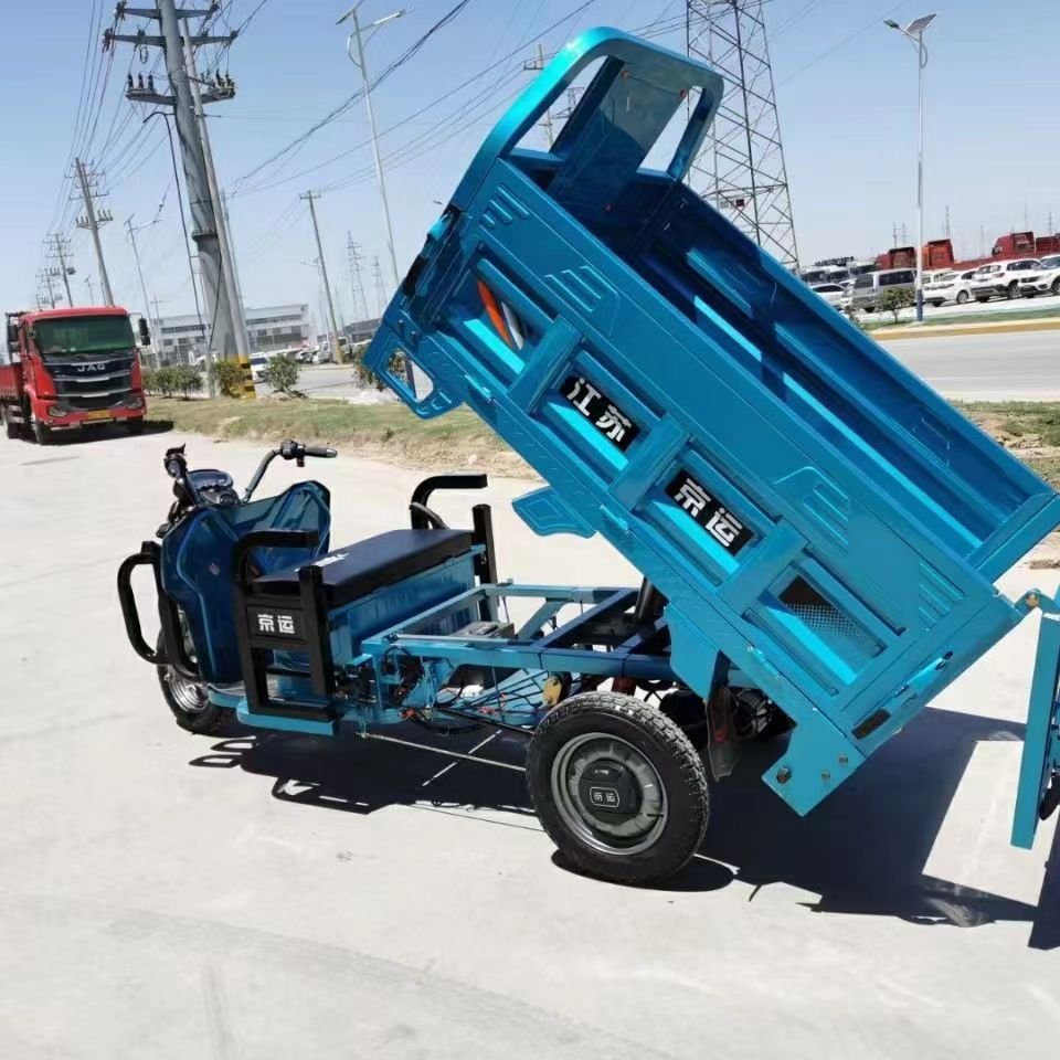 China High Quality Wholesale Bulk Electric Cargo Tricycle 1000W EEC Heavy Load Open Type Electric Tricycles Three Wheel Adult