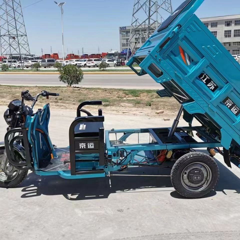 China High Quality Wholesale Bulk Electric Cargo Tricycle 1000W EEC Heavy Load Open Type Electric Tricycles Three Wheel Adult
