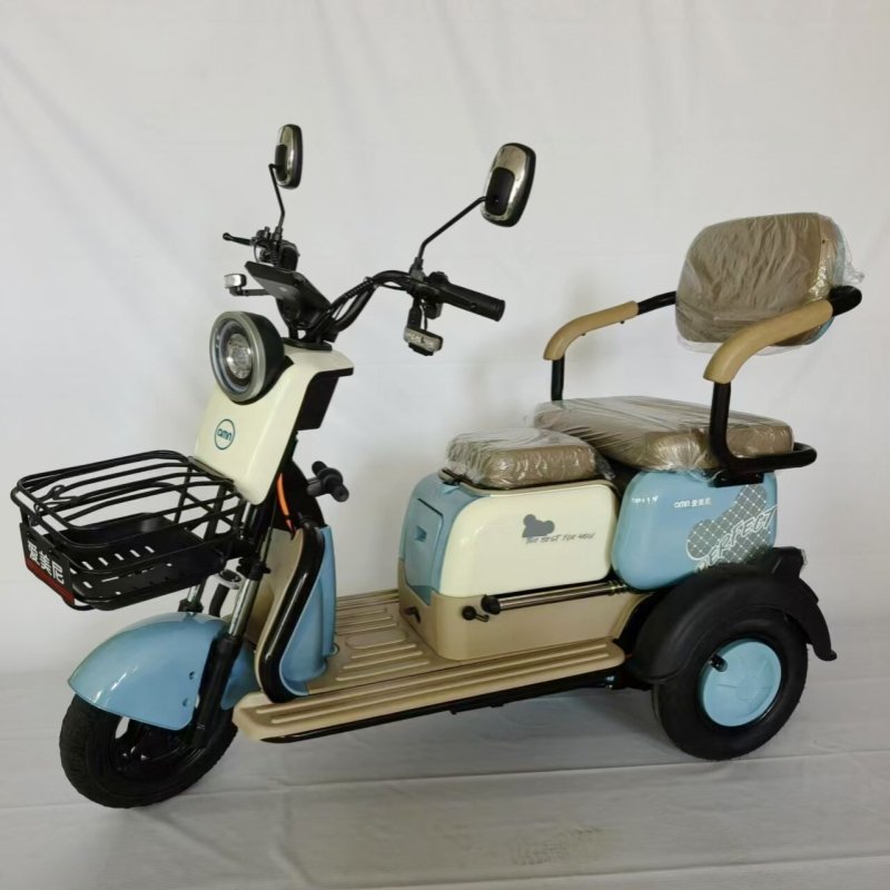 Factory Sales Household Light 3 Wheel Tricycle Electric with Child Seat 48V 600W 800w Waterproof Electric Cargo Trike for Adults