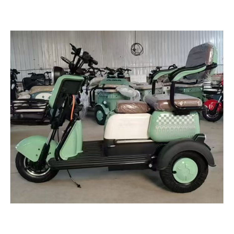 Factory Sales Household Light 3 Wheel Tricycle Electric with Child Seat 48V 600W 800w Waterproof Electric Cargo Trike for Adults