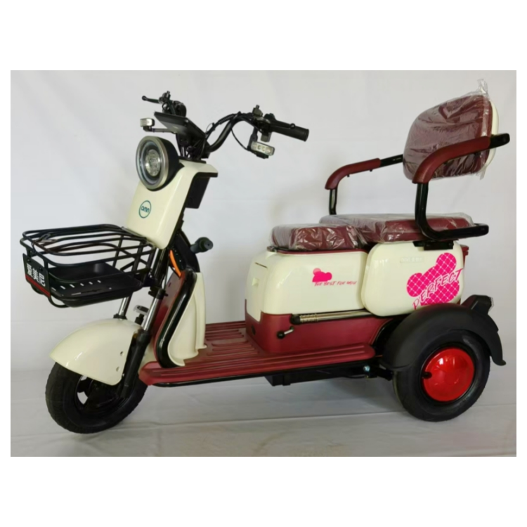 Factory Sales Household Light 3 Wheel Tricycle Electric with Child Seat 48V 600W 800w Waterproof Electric Cargo Trike for Adults