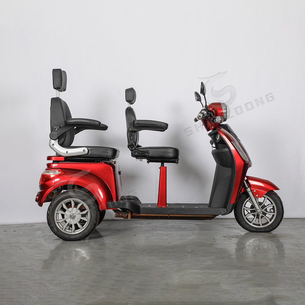 Factory Shimano 2000w Dual Motor Electric Tricycle 40ah Torque Sensor E Trike Dual Batteries Etricycle for Adults LED 500W Cargo
