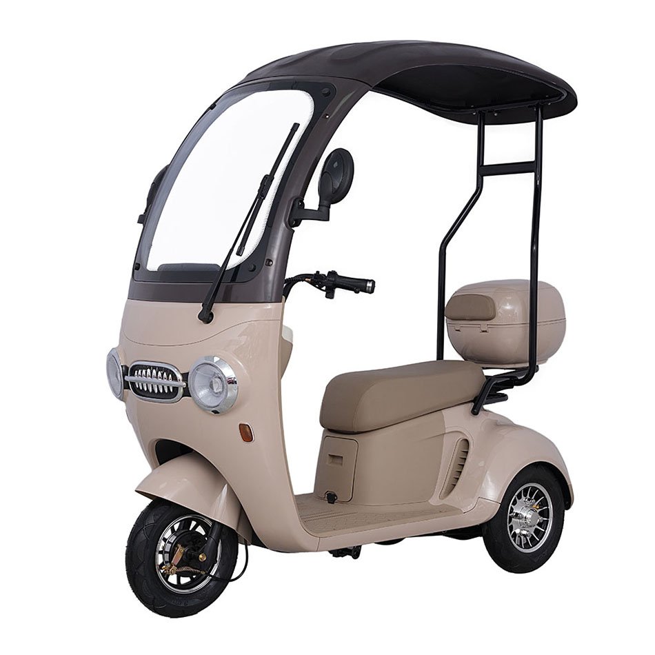 Dependable Performance Motorized Electric Tricycle Tricycle Electric Bike for 2 Person