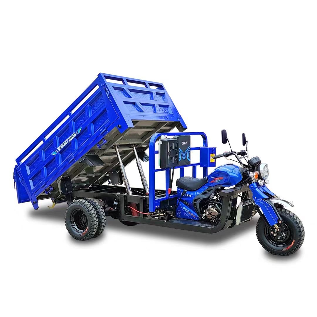 3 Wheel Moto Cargo 350cc Tricycle Scooter Car Gasoline Engine Agricultural Tricycle