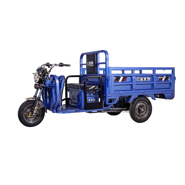 60V/72V High Power Motorcycles Tricycles Cargo Tricycle Electric Tricycles