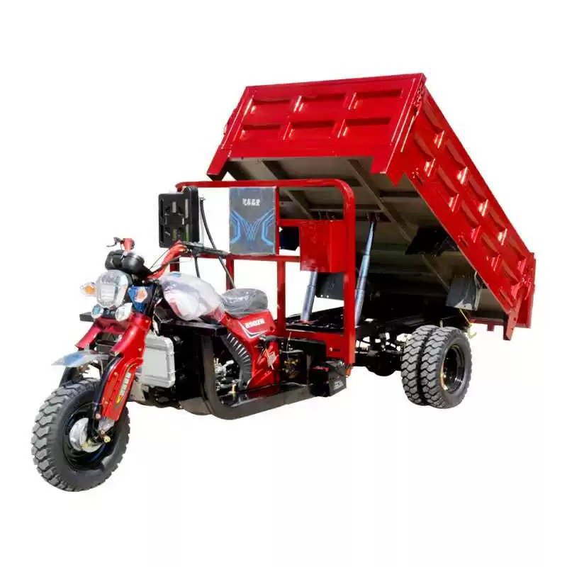 Efficient Three-Wheeled Motorcycle for Cargo Transport on Rough Roads 5-wheeled Motorcycle Tricycle