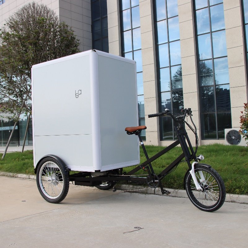 Electric Enclosed Big Box Delivery Cargo Trike, Motorized Cargo Tricycle