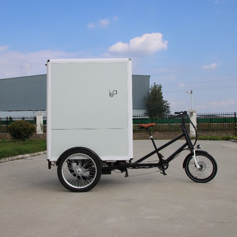 Electric Enclosed Big Box Delivery Cargo Trike, Motorized Cargo Tricycle