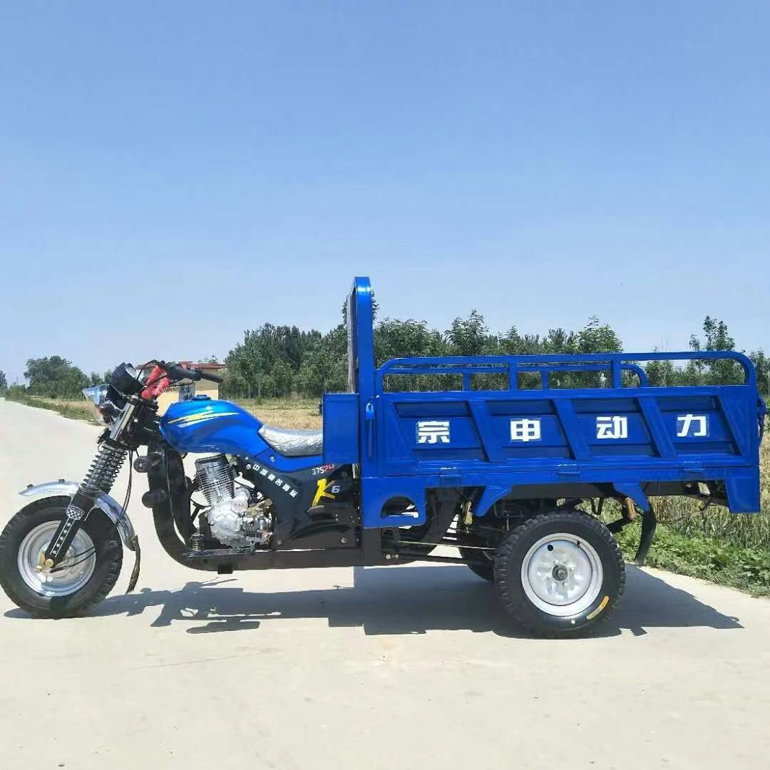 Hot Sell Motorcycle Gasoline Electric Tricycles for Adults Moto Tricycle Tricycle Electric Bike 3 Wheel Battery