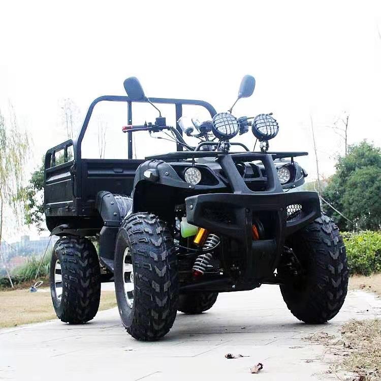 200cc 4x4 Side by Side UTVs for Sale Versatile Off-Road Vehicle