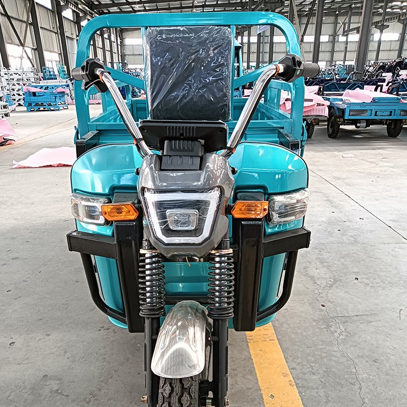 2024 New 3 Wheel Electric Bike Electric Cargo Tricycle Electric Pedicab for Adults