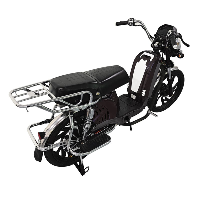High-Power 48V 800W E-Bike Drum Brakes Family City Bike Electric Bicycle
