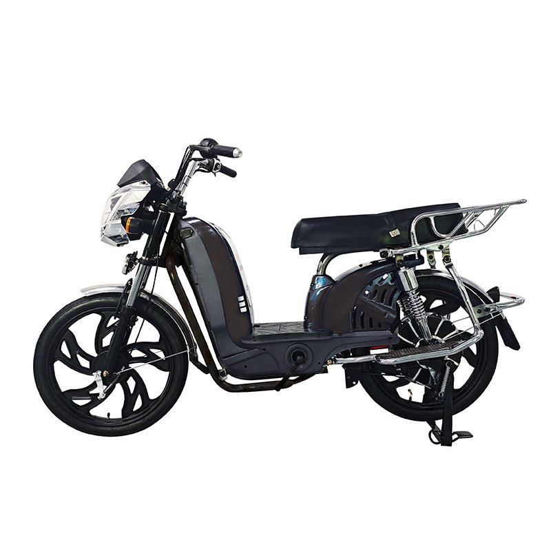 High-Power 48V 800W E-Bike Drum Brakes Family City Bike Electric Bicycle