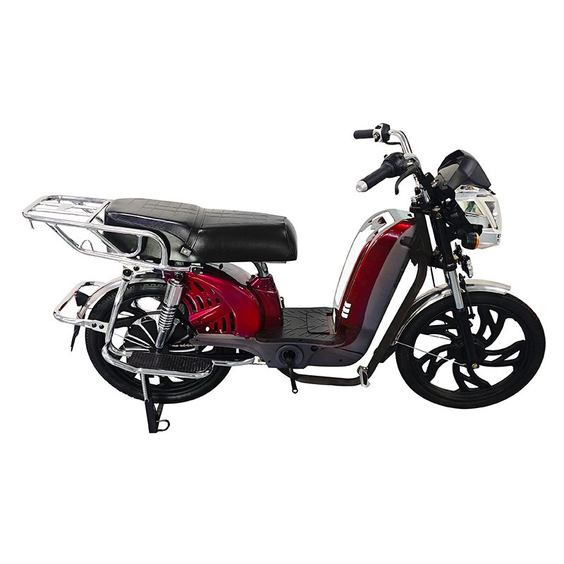 High-Power 48V 800W E-Bike Drum Brakes Family City Bike Electric Bicycle