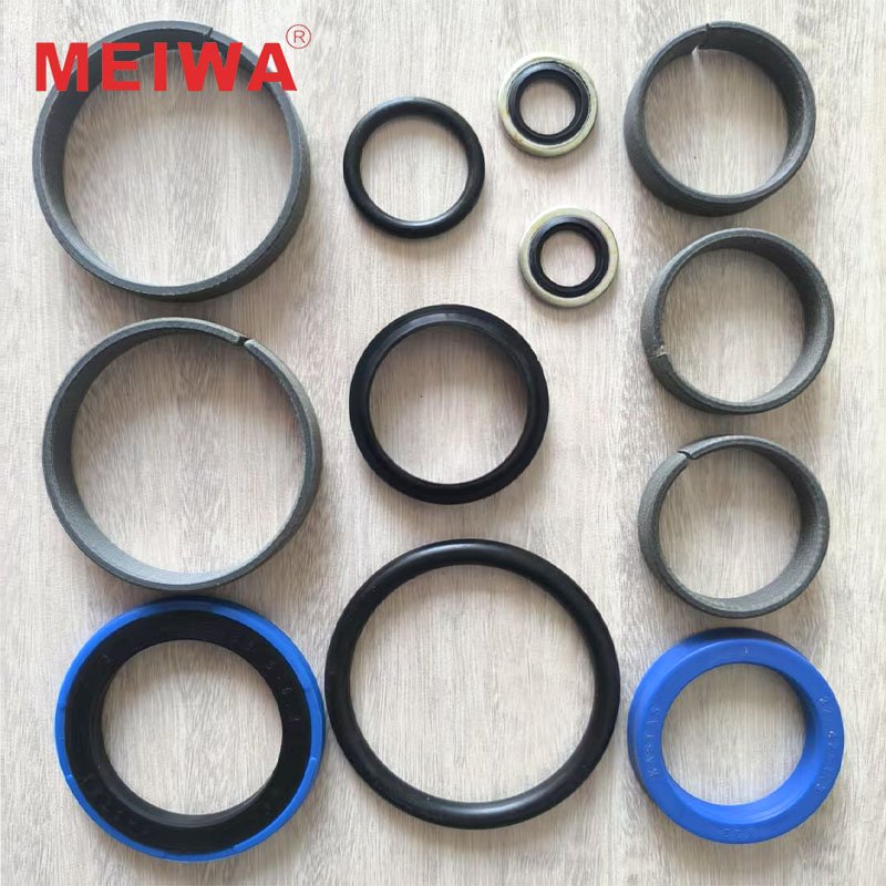 Seal Kit 55155841 Seal Repair Kit 551 558 41