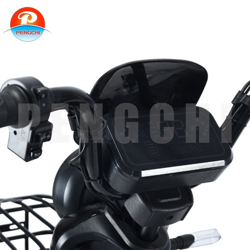 Factory Direct Sale Urban Leisure Electric Bike High Carbon Steel Rear Hub Motor 3 Speed Bluetooth Convenient for City Use