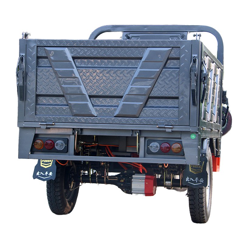 1000W 20 Inch Tricycle Electric Tricycles 3 Wheel Electric Cargo Bike Tricycle Taxi Moto