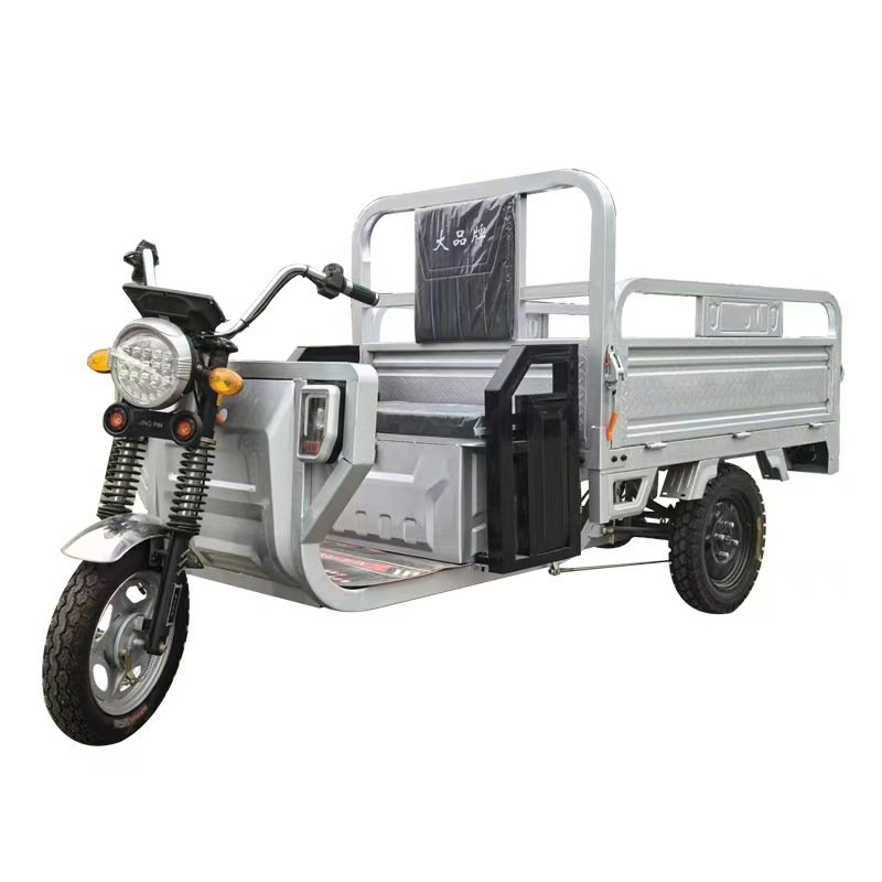 1000W 20 Inch Tricycle Electric Tricycles 3 Wheel Electric Cargo Bike Tricycle Taxi Moto