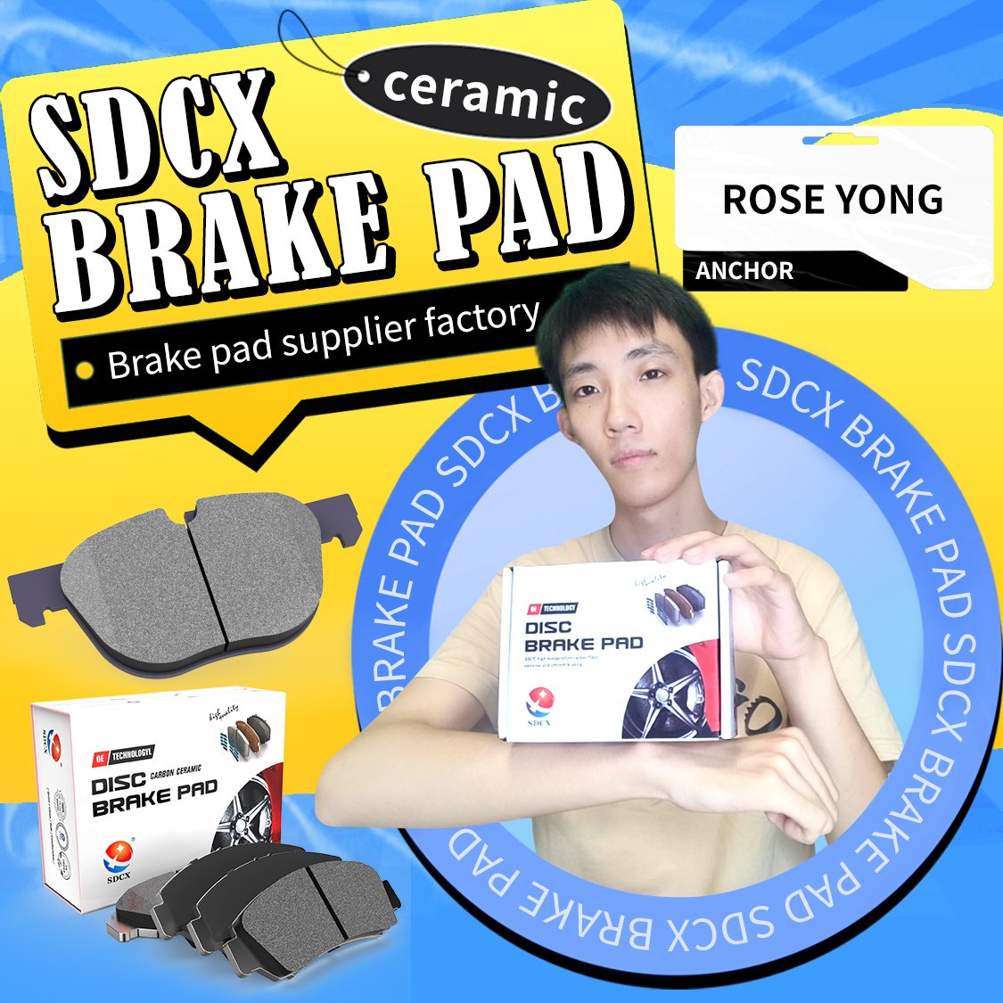 SDCX D710 0024209620 Ceramic Brake Pad High Quality No Noise Brake Shoe for Different Countries Car Brands