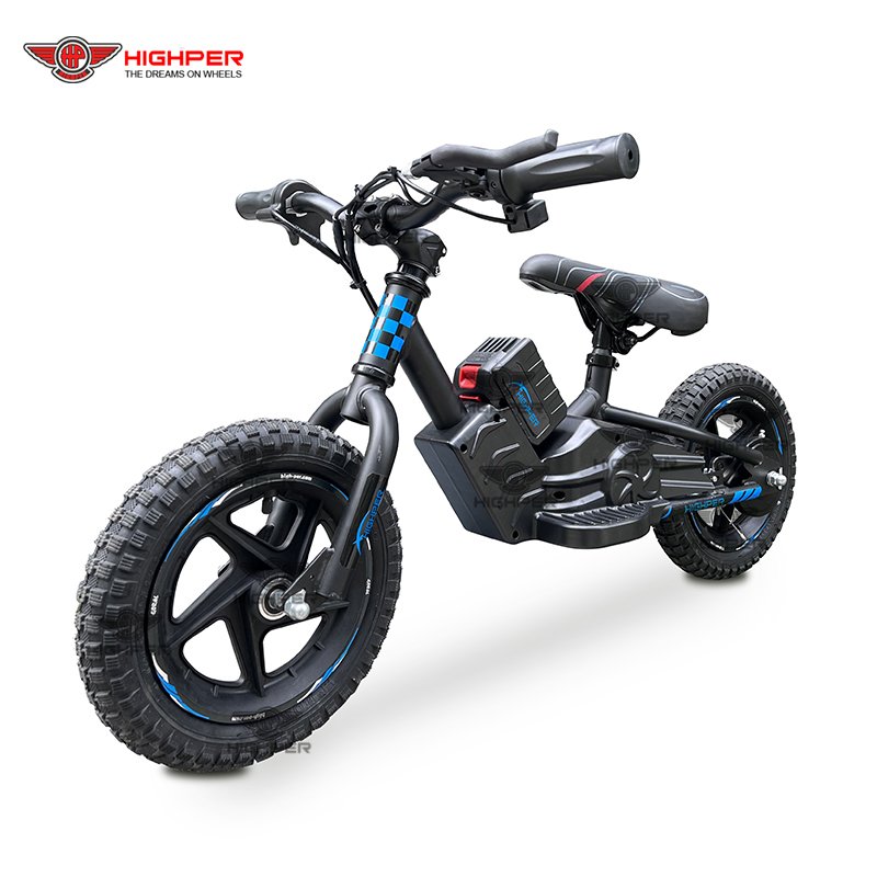 New Cheap Electric Bike 250w Electric Bicycle for Kids in 2022
