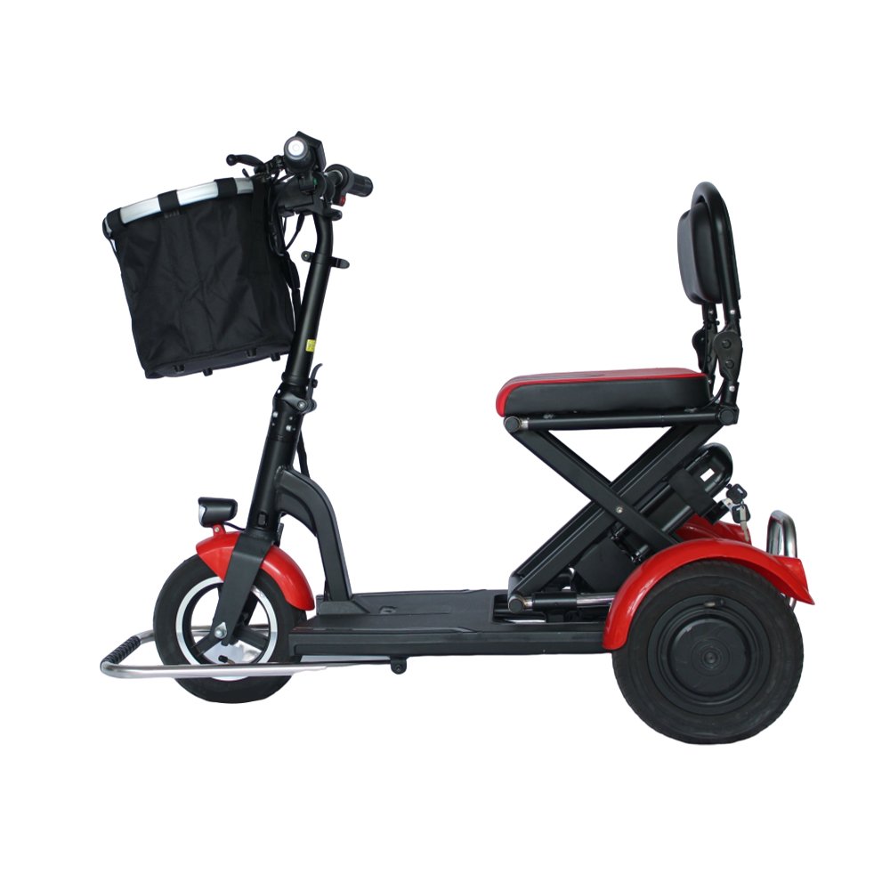 Dynalion Hot Selling Three Wheel Electric 36v 48v Removable Lithium Battery Electric Bicycle Electric Tricycle for Elderly