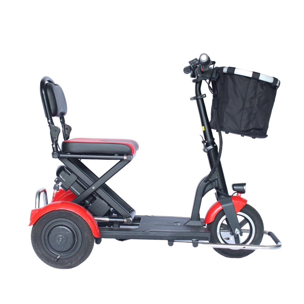 Dynalion Hot Selling Three Wheel Electric 36v 48v Removable Lithium Battery Electric Bicycle Electric Tricycle for Elderly