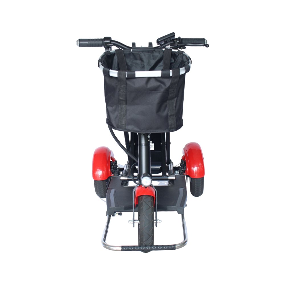 Dynalion Hot Selling Three Wheel Electric 36v 48v Removable Lithium Battery Electric Bicycle Electric Tricycle for Elderly