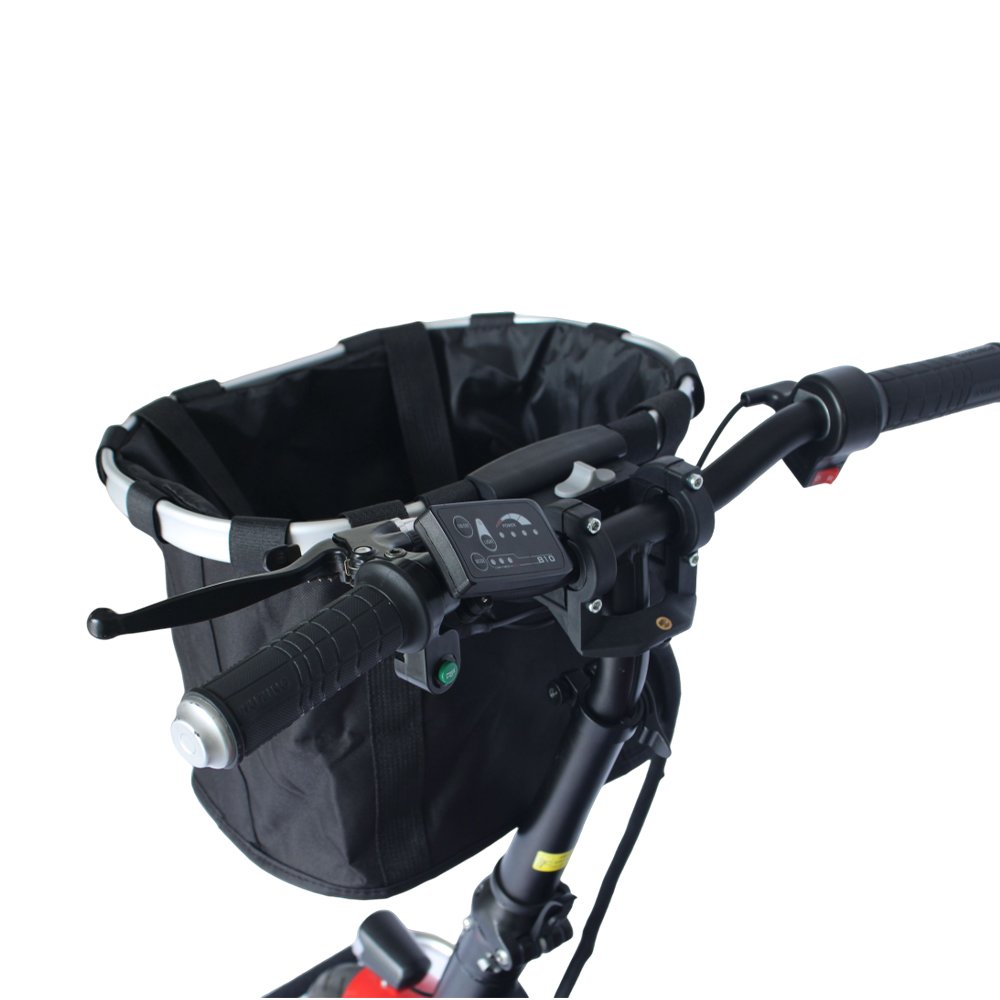 Dynalion Hot Selling Three Wheel Electric 36v 48v Removable Lithium Battery Electric Bicycle Electric Tricycle for Elderly