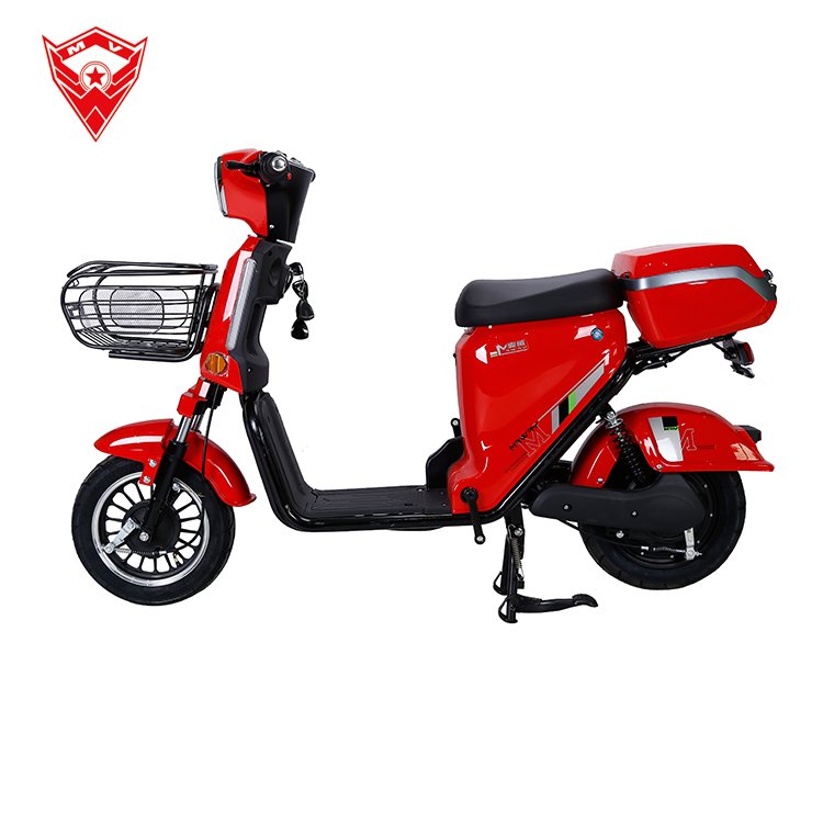48V Electric Bike Two Person Electric Bicycle Chinese E Bikes 2023 Electric Bicycle